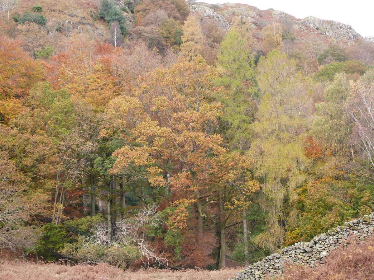 ウルバーストン Rowanヴィラ エクステリア 写真